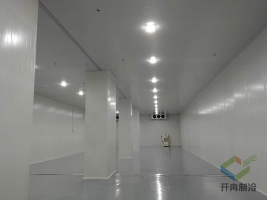 建設(shè)醫(yī)藥包裝自動(dòng)化冷庫安裝，自動(dòng)化冷藏庫有哪些優(yōu)點(diǎn)？