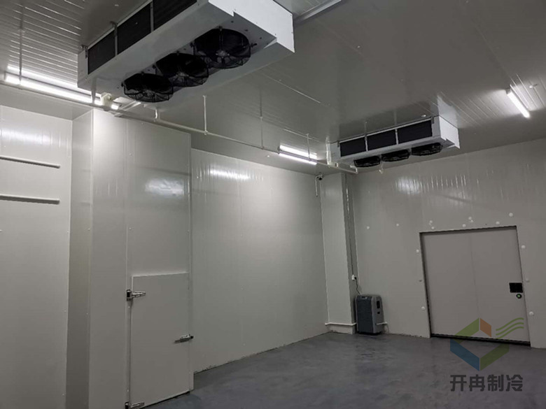 建設(shè)醫(yī)藥包裝自動(dòng)化冷庫安裝，自動(dòng)化冷藏庫有哪些優(yōu)點(diǎn)？