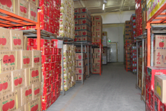 500噸蘋(píng)果冷藏庫(kù)成本建設(shè)費(fèi)用多少錢(qián)