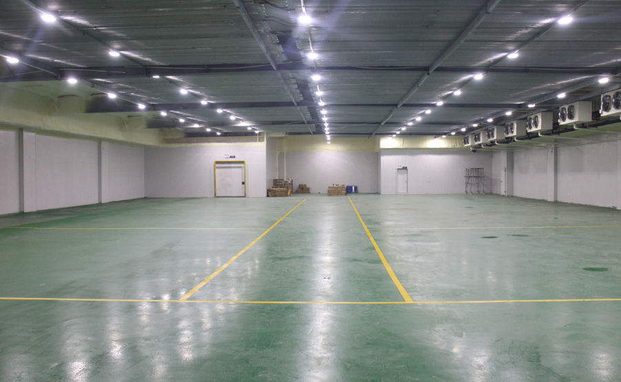 300噸提子葡萄冷藏庫造價,提子葡萄冷藏庫設計