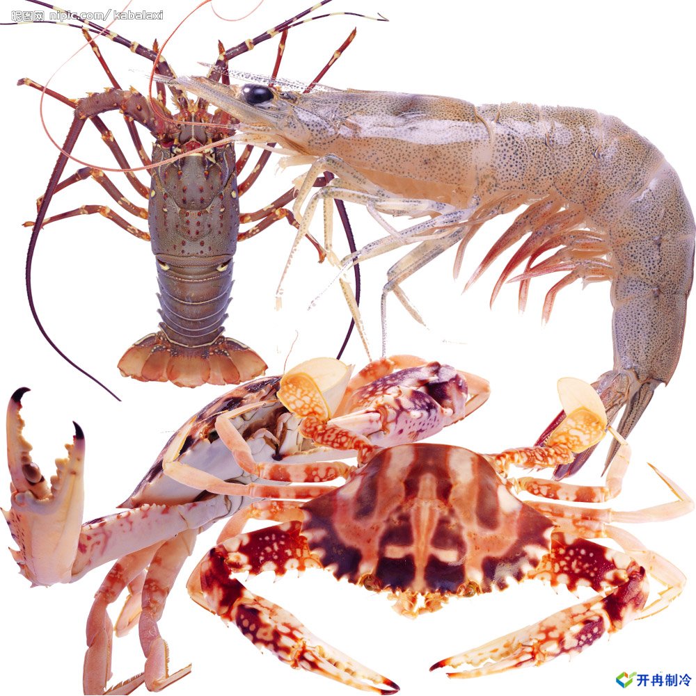 500平米海鮮冷庫(kù)建造，-25℃冷凍庫(kù)造價(jià)多少錢(qián)